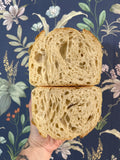 Sourdough Plain